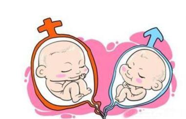 专家